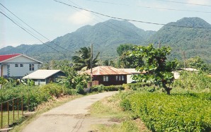 Sign for Glanvillia