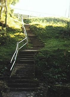 Up the steps of the Lizard Trail