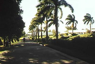 Ross University main driveway